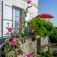 Gîte La Grande Maison - Saint-Sulpice-d'Arnoult - 01